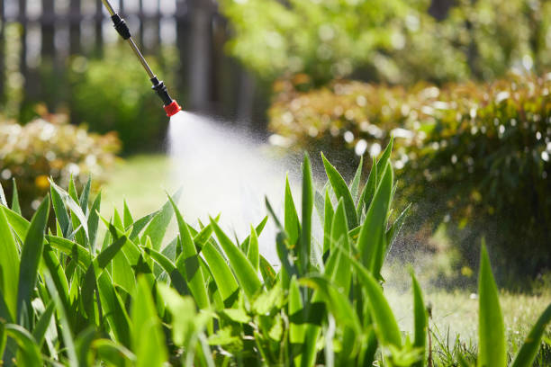 Tamper-Resistant Bait Stations for Rodents in Bushland