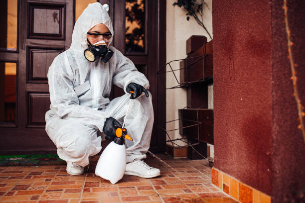 Attic and Crawl Space Rodent Treatment in Bushland