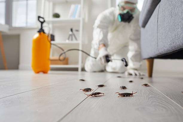 Commercial Rodent Management in Bushland